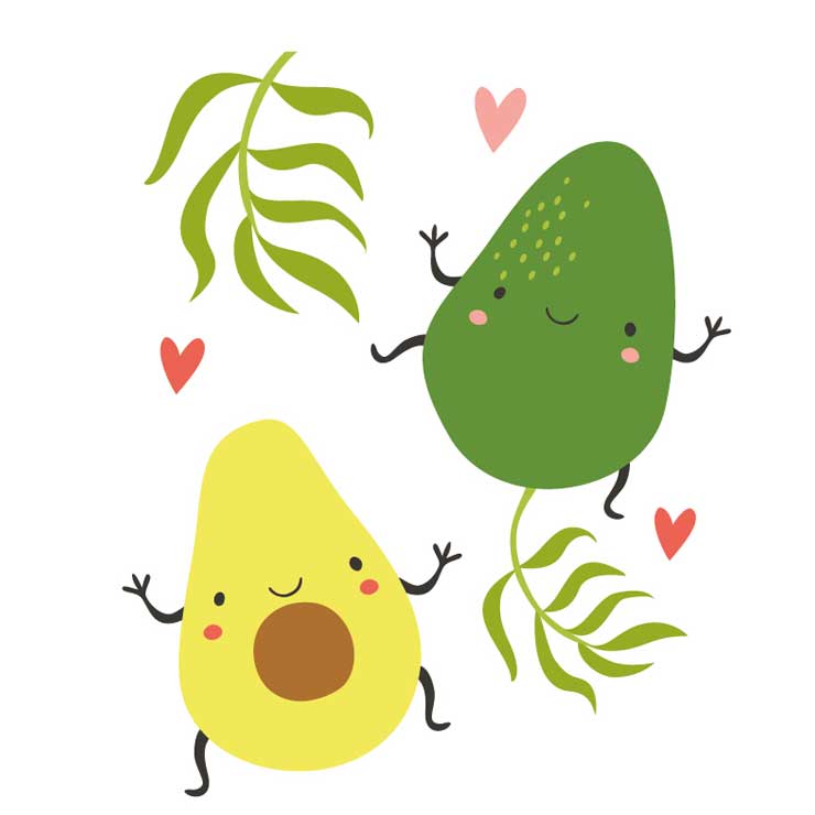 avacado
