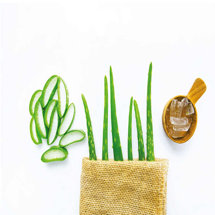 aloevera